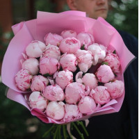 29 Пионов Сара Бернар
