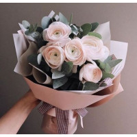 5 Нежно-Розовых Ранункулюсов