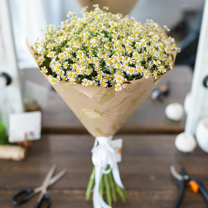 15 Кустовых Ромашек в упаковке