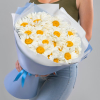 27 Крупных Ромашек 27 Крупных Ромашек