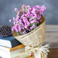 15 Розовых Статиц
