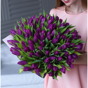 101 Фиолетовый Тюльпан
