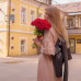 25 Красных Роз (50 см.) 25 Красных Роз (50 см.)