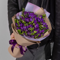 25 Фиолетовых Фрезий