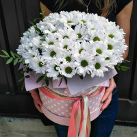 11 Белых Хризантем в коробке