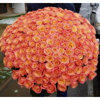 201 Коралловая Роза (50 см.)
