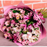 15 Розово-Белых Альстромерий