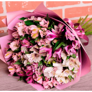 15 Розово-Белых Альстромерий