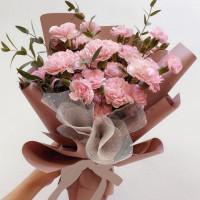 11 Кустовых Розовых Гвоздик