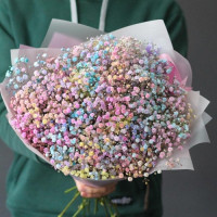 19 Радужных Гипсофил
