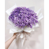 15 Фиолетовых Гипсофил